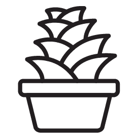 Succulent in vase icon